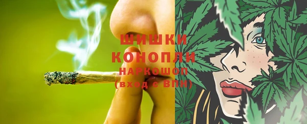 индика Балахна