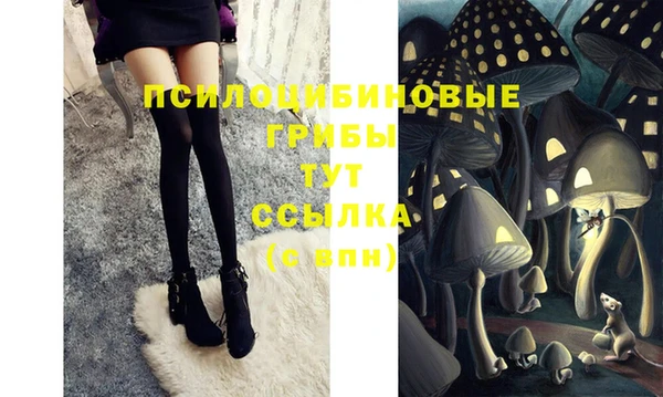индика Балахна