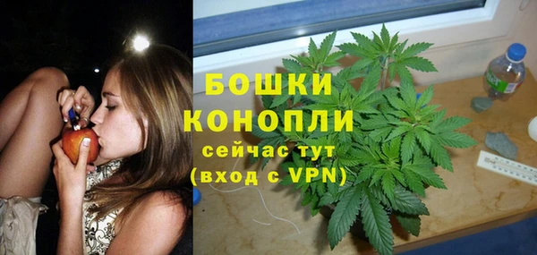индика Балахна