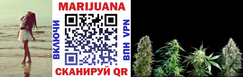 Бошки марихуана OG Kush Купить Серов